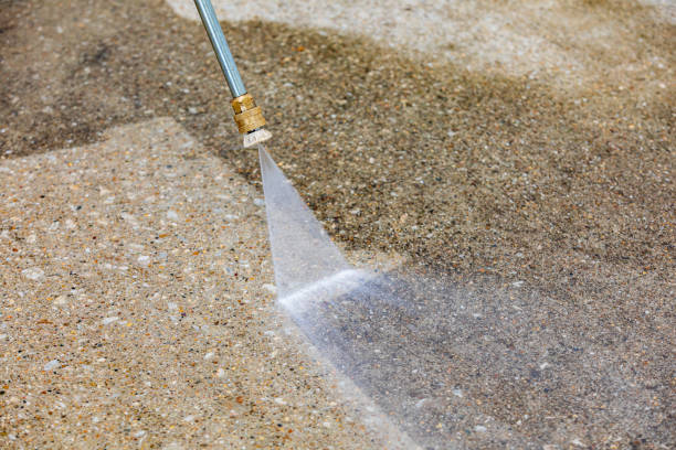 Best Animal Enclosure Cleaning  in Jacksonville Beach, FL